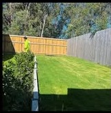 Worker in a neon shirt on a cut lawn by a hedge