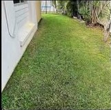 Narrow mowed side yard between a white wall and hedges